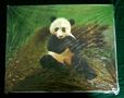 pandas--grisot-panda5.jpg (JPEG)