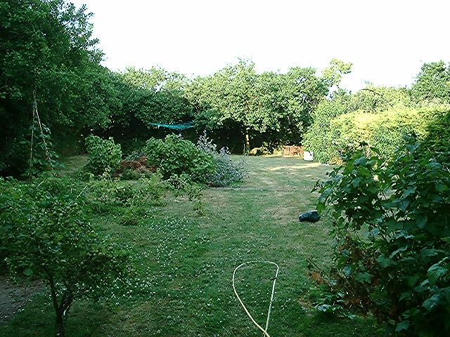 bottomgarden.jpg