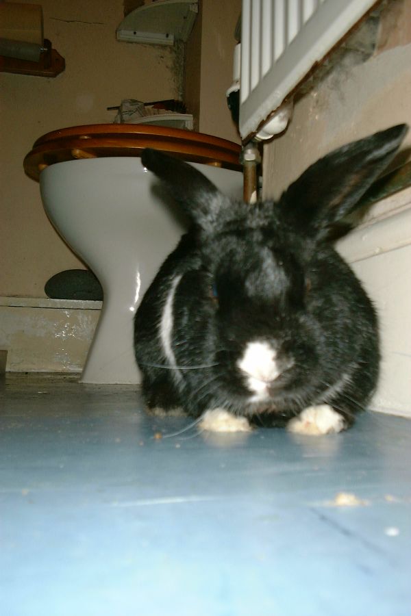 berry01.jpg