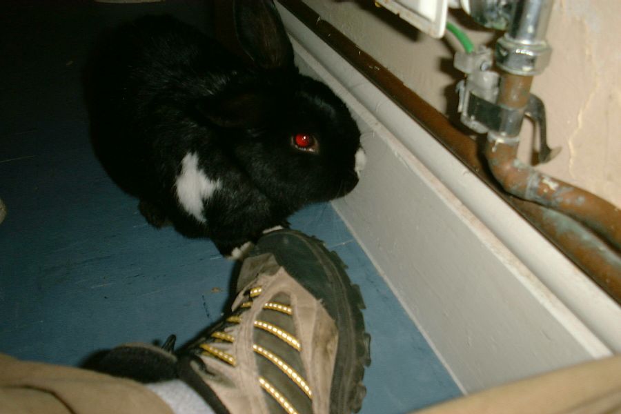 berry02.jpg
