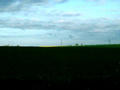 DSCF0151.JPG (JPEG)