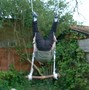 mjlswing03.jpg (JPEG)