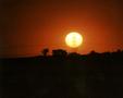 sunset-big.jpg (JPEG)