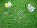 DSC04651.JPG (JPEG)