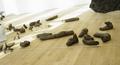 tate-poo-on-floor.jpg (JPEG)