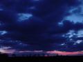 DSC03109.JPG (JPEG)