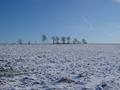 DSC03282.JPG (JPEG)