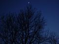 DSC05110.JPG (JPEG)