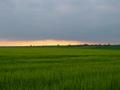 DSC05527.JPG (JPEG)