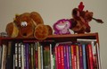 DSC07712.JPG (JPEG)