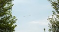 DSC04438.JPG (JPEG)