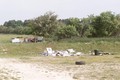 26F91798.jpg (JPEG)