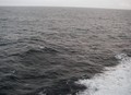 IMGP3445.JPG (JPEG)