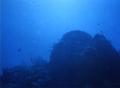 reef.jpg (JPEG)